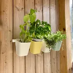 Przystanek Warmia- Caloroczny, Duza Lesna Dzialka * Naglady