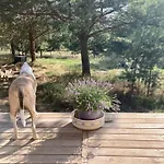 בית נופש Przystanek Warmia- Caloroczny, Duza Lesna Dzialka *