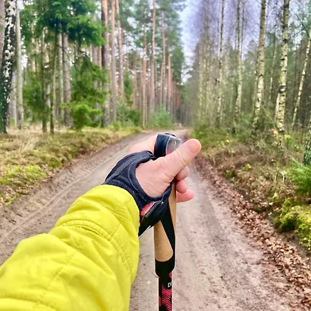 Przystanek Warmia- Caloroczny, Duza Lesna Dzialka Naglady