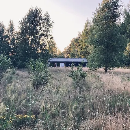 Przystanek Warmia- Caloroczny, Duza Lesna Dzialka Naglady