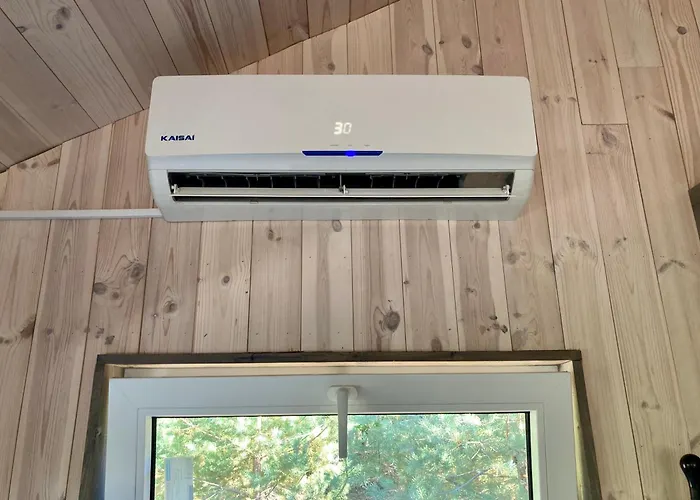 Przystanek Warmia- Caloroczny, Duza Lesna Dzialka *