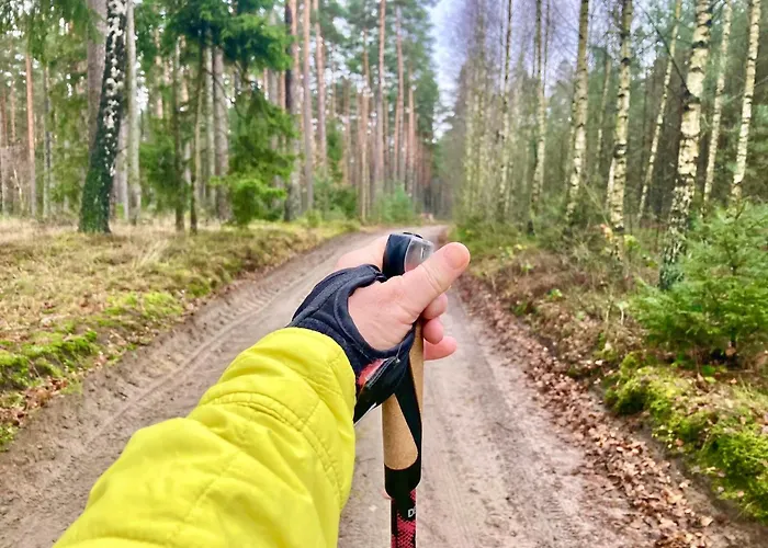 Przystanek Warmia- Caloroczny, Duza Lesna Dzialka Naglady