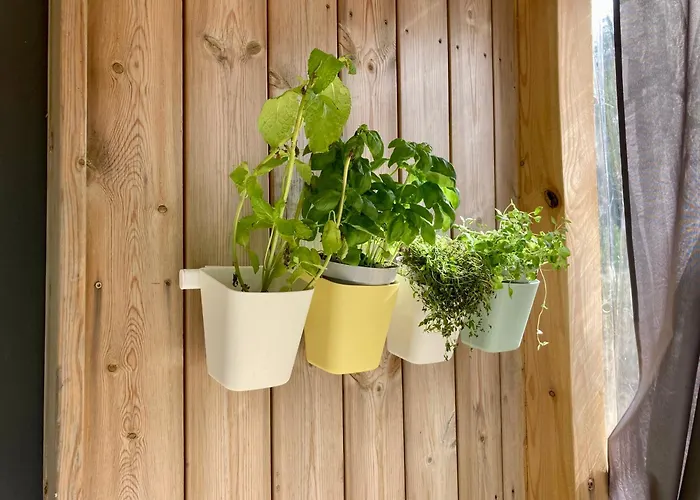 Przystanek Warmia- Caloroczny, Duza Lesna Dzialka * Naglady