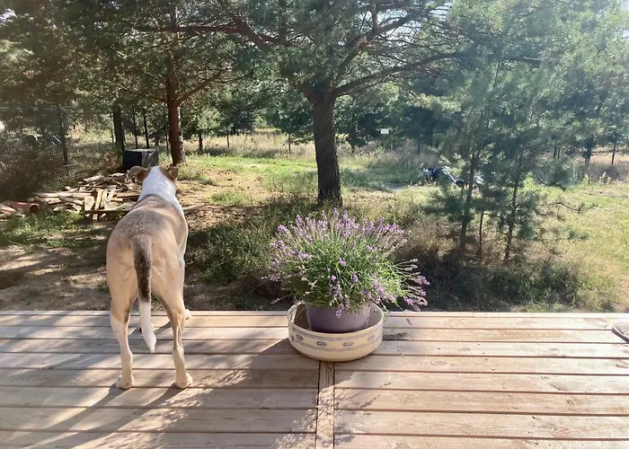 Holiday home Przystanek Warmia- Caloroczny, Duza Lesna Dzialka *