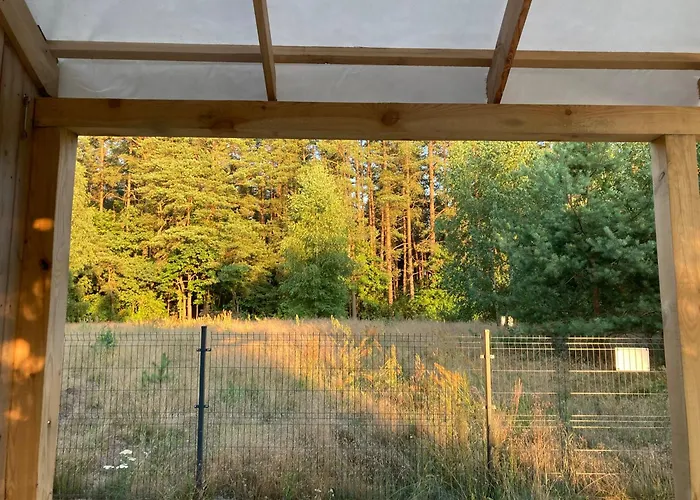 Przystanek Warmia- Caloroczny, Duza Lesna Dzialka *