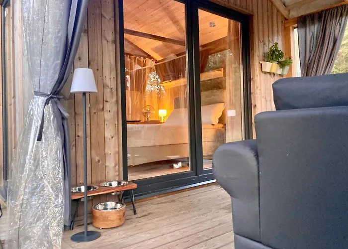 Przystanek Warmia- Caloroczny, Duza Lesna Dzialka * Naglady