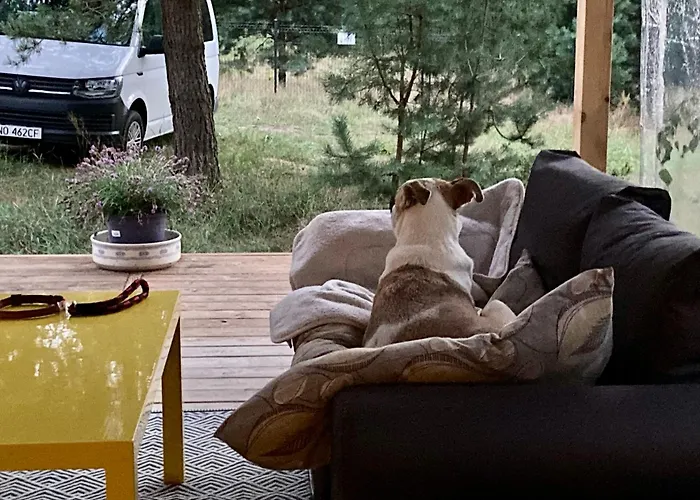 Holiday home Przystanek Warmia- Caloroczny, Duza Lesna Dzialka Naglady