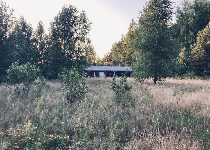 Przystanek Warmia- Caloroczny, Duza Lesna Dzialka Naglady