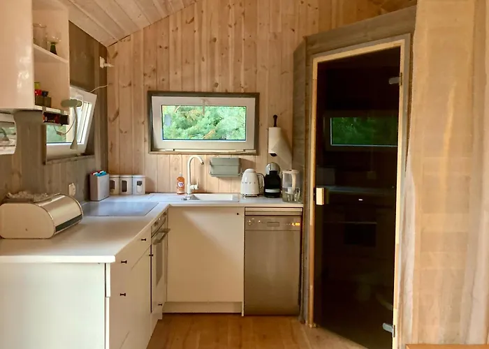 Przystanek Warmia- Caloroczny, Duza Lesna Dzialka Naglady