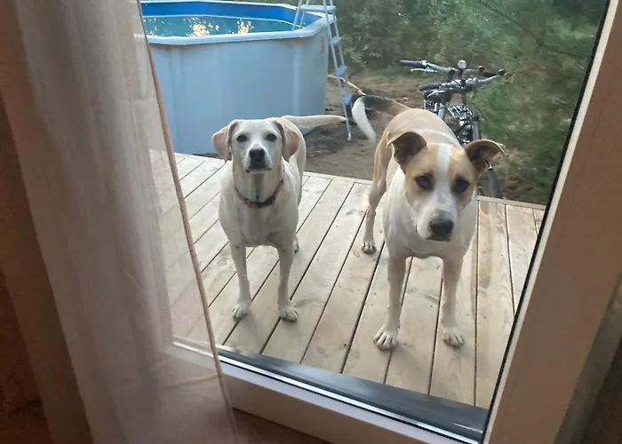 Przystanek Warmia- Caloroczny, Duza Lesna Dzialka Holiday home Naglady