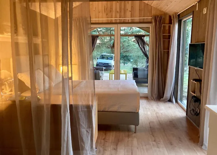 Przystanek Warmia- Caloroczny, Duza Lesna Dzialka Naglady