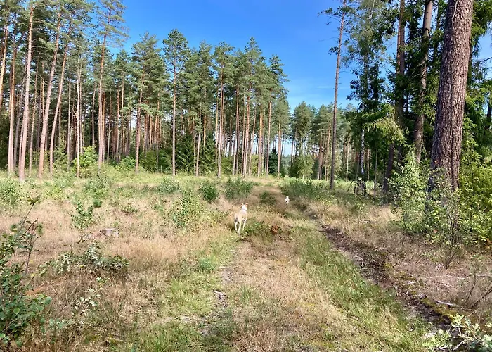 Przystanek Warmia- Caloroczny, Duza Lesna Dzialka Holiday home